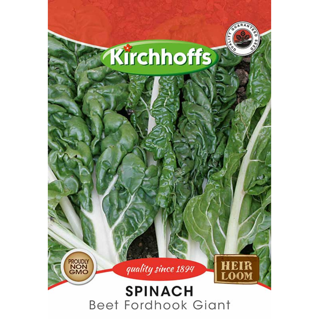 Lettuce (Beet Fordhook Giant) - Kirchhoff Seeds, Vegetables